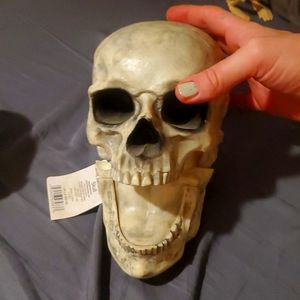 Skull head